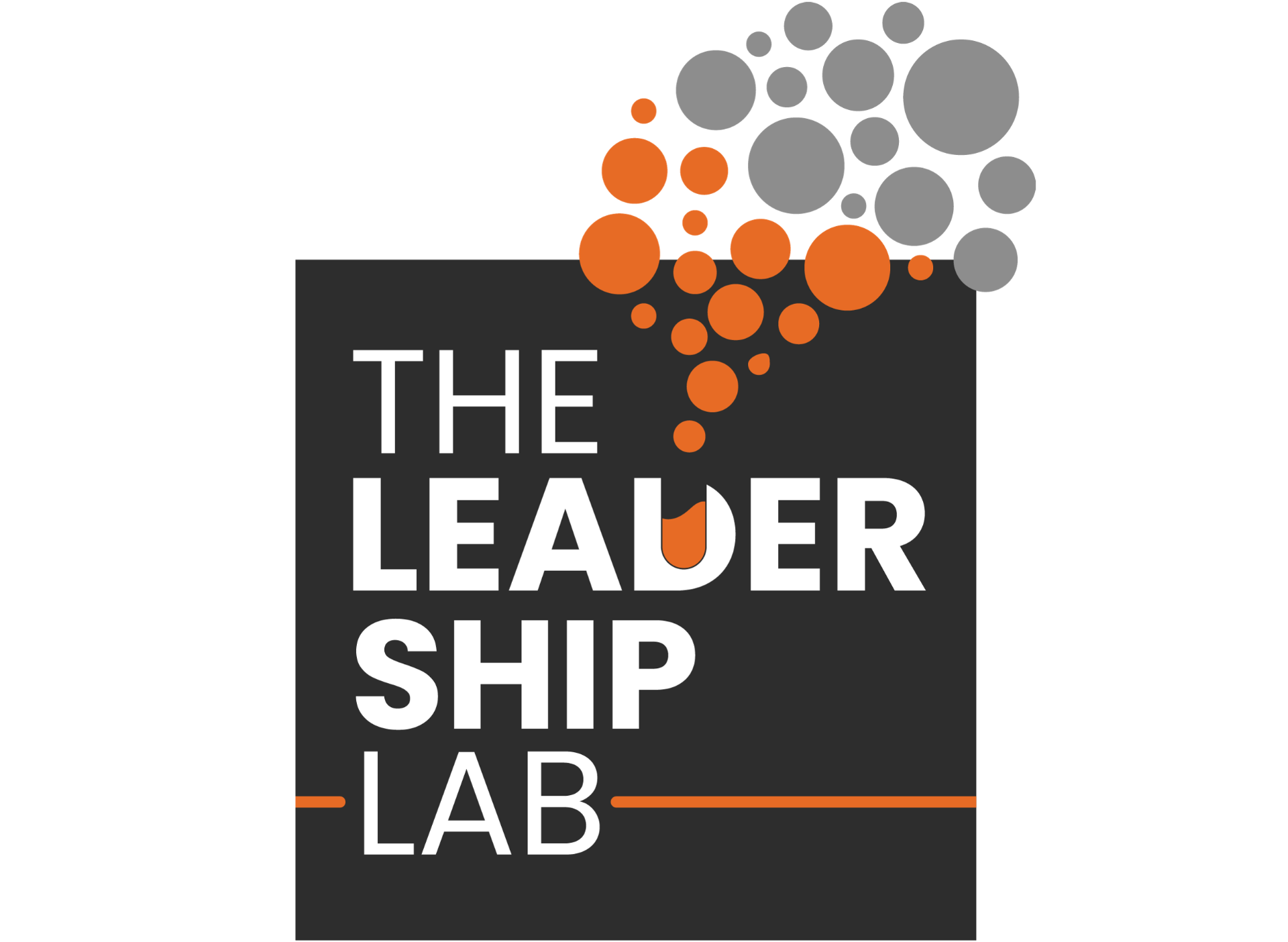The Leadership Lab